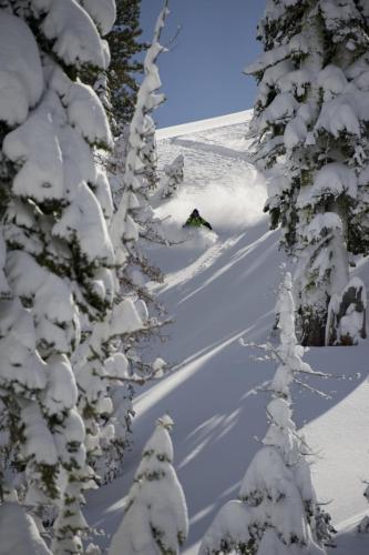 Skiing with Pacific Crest Snowcats